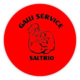 GALLI SERVICE